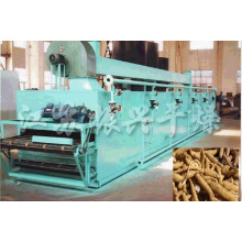 Dw Series Mesh Belt Dryer for Cassava